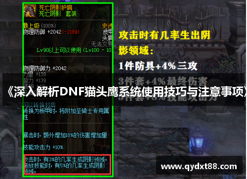 《深入解析DNF猫头鹰系统使用技巧与注意事项》