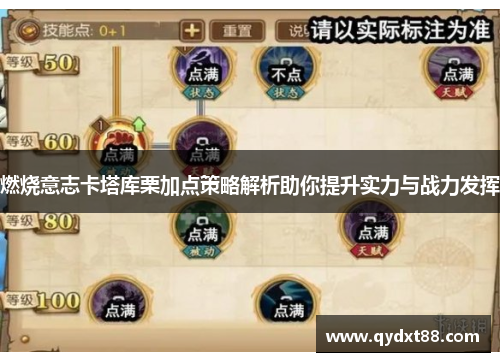 燃烧意志卡塔库栗加点策略解析助你提升实力与战力发挥